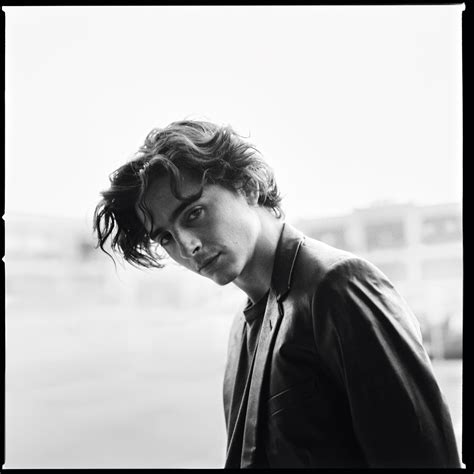 timothee chalamet martin scorsese bleu de chanel|More.